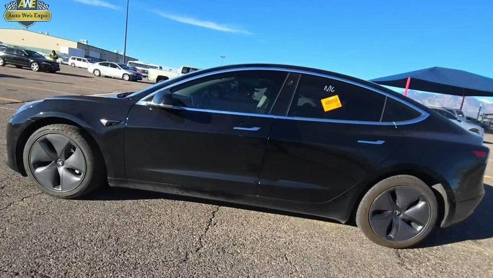 TESLA MODEL 3 2019 5YJ3E1EA7KF193256 image